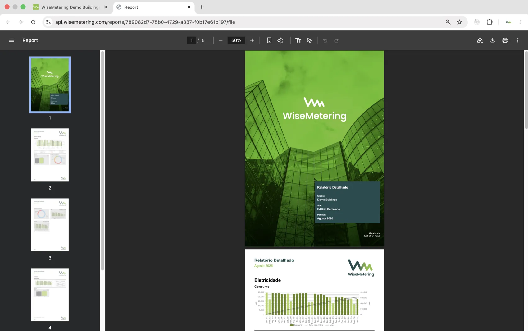 A detailed PDF report generated by WiseMetering
